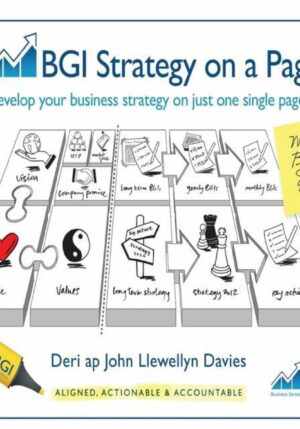 BGI Strategy on a Page