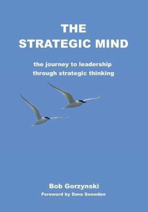 The Strategic Mind
